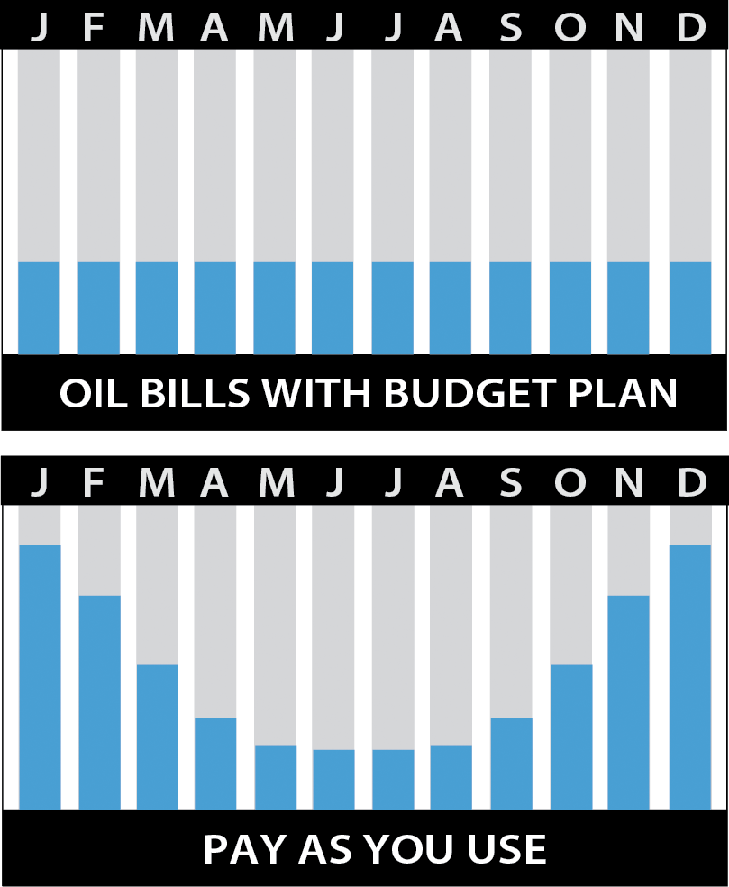 D. Ferruccio & Son's Budget Plan Chart